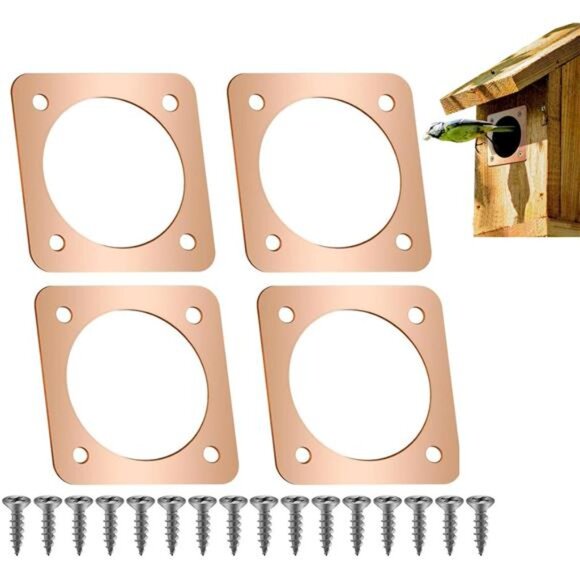 4 Pieces Birdhouse Predator Guard Copper Portal Metal Protector for Eastern - Picture 1 of 16